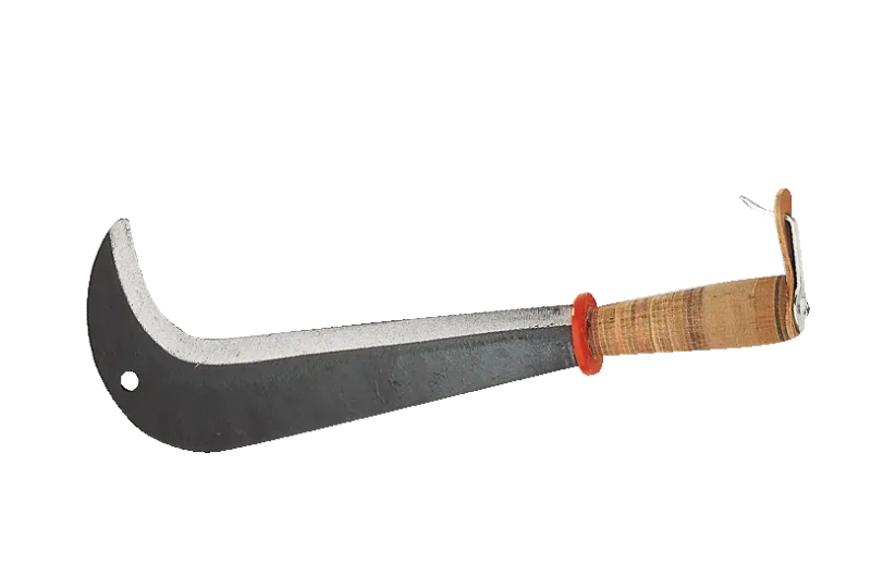 Zwitsers kapmes, 43 cm